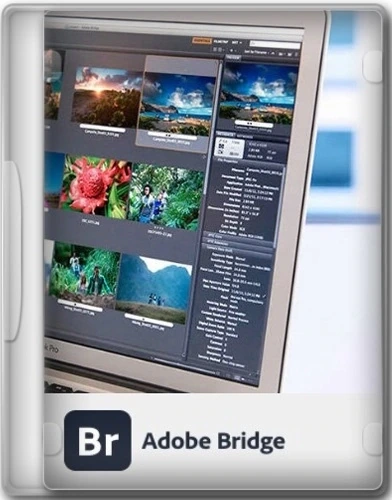 Adobe Bridge 2024 14.1.0.257 RePack by KpoJIuK