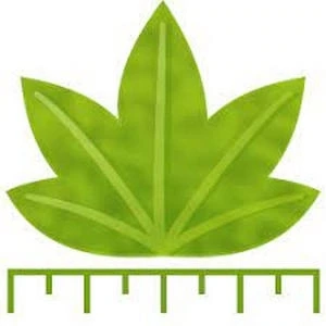 Digimizer 6.3.0