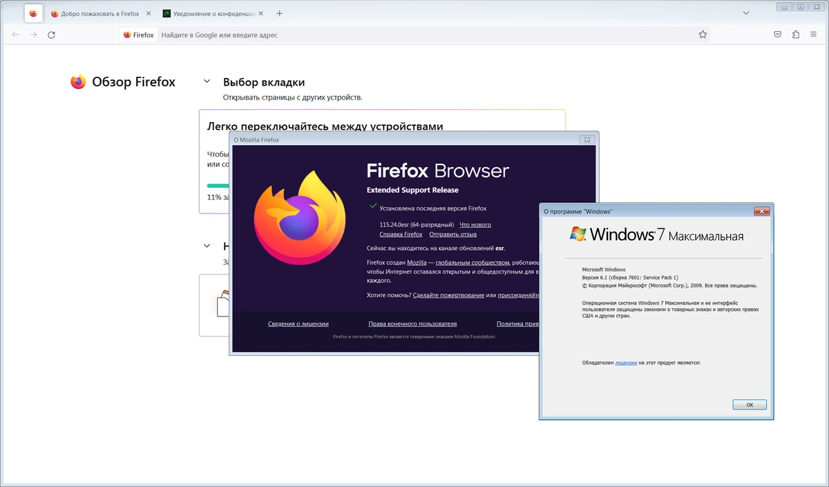 Полнофункциональный браузер Firefox Browser ESR 115.24.0 — изображение 1