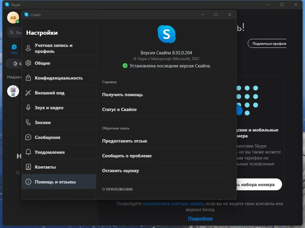 Портативный скайп - Skype 8.92.0.204 by elchupacabra — изображение 1