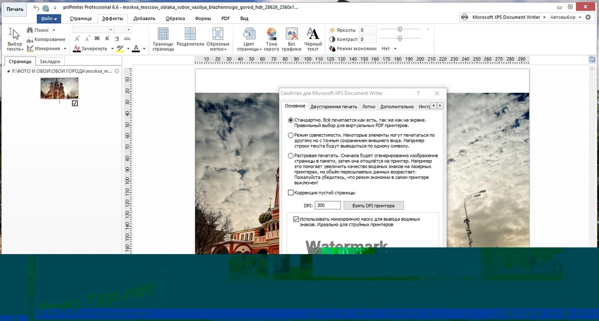 priPrinter виртуальный принтер Professional 6.6.0.2501 RePack by elchupacabra — изображение 1