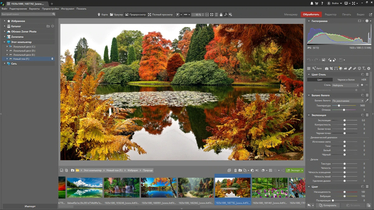 Программа для фотографов Zoner Photo Studio X 19.2503.2.631 by elchupacabra — изображение 1