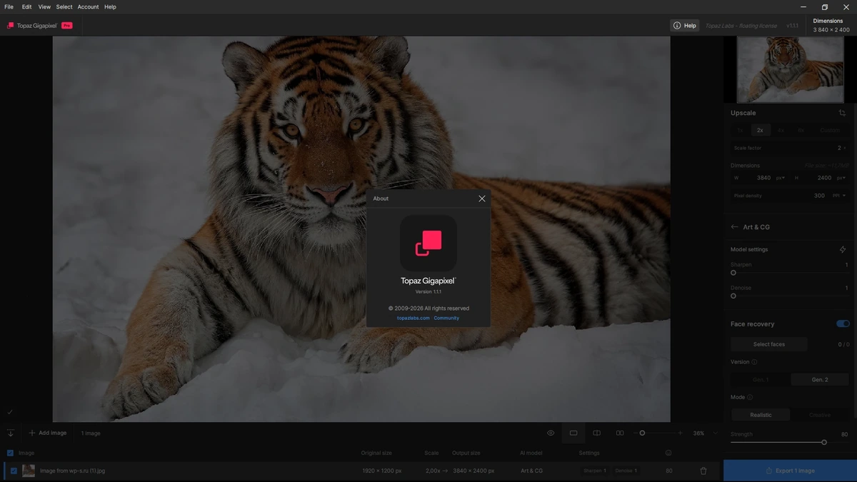 Программный фотоувеличитель Topaz Gigapixel 1.1.1 by KpoJIuK — изображение 1