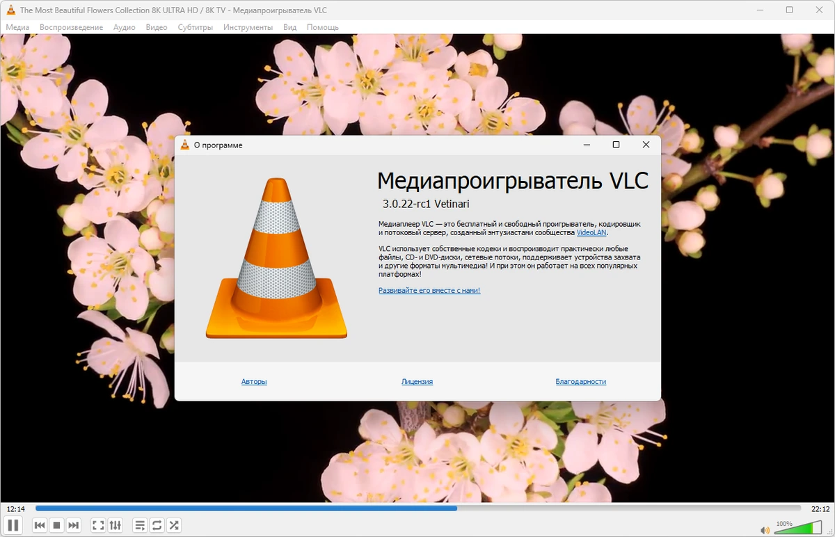 Проигрыватель потокового видео VLC Media Player 3.0.22 RC1 + Portable — изображение 1
