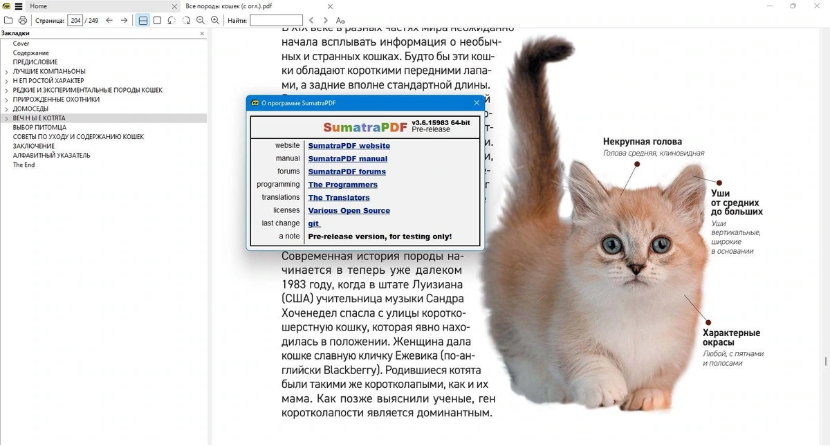 Просмотр и печать PDF, DjVu, FB2, ePub, MOBI, CHM, XPS, CBR/CBZ документов - Sumatra PDF 3.6.15983 Prerelease + Portable — изображение 1