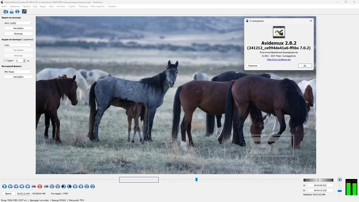 Простой редактор видео Avidemux 2.8.2 Nightly (r241212) + Portable (x64) — изображение 1