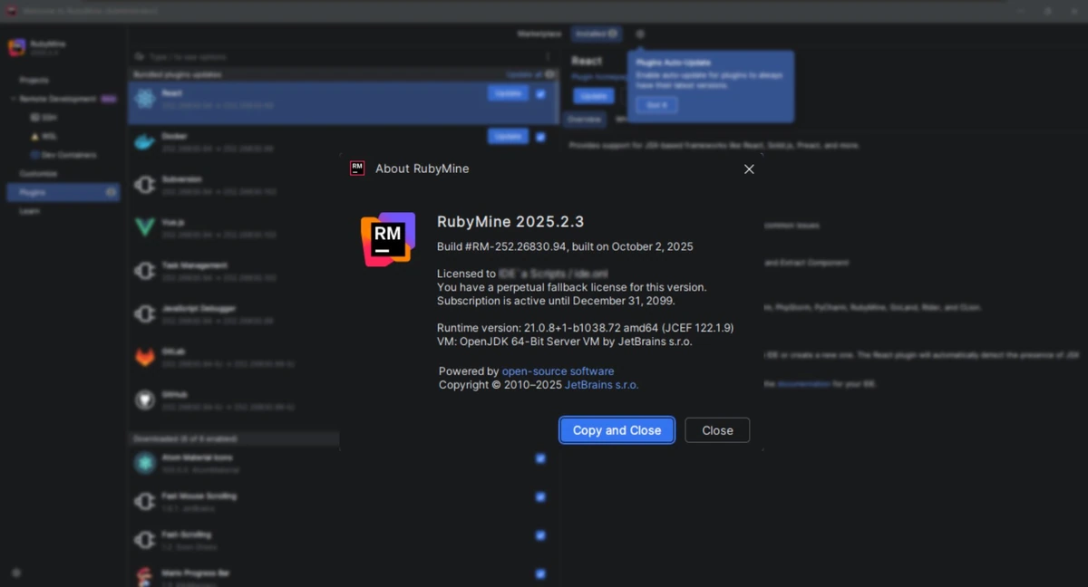Разработка для языка Ruby и веб-фреймворка Rails JetBrains RubyMine 2025.2.3 (x64-arm64) by Sitego — изображение 1