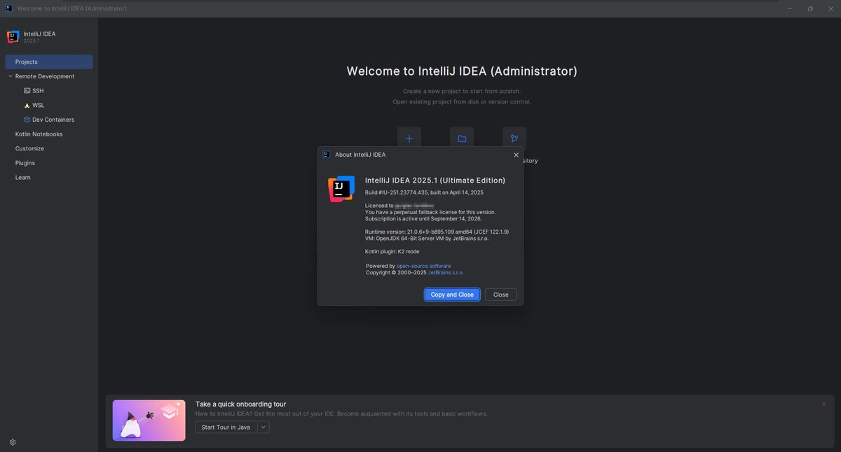 Jetbrains IntelliJ IDEA Ultimate 2025.1 (x64-arm64) by Sitego — изображение 1