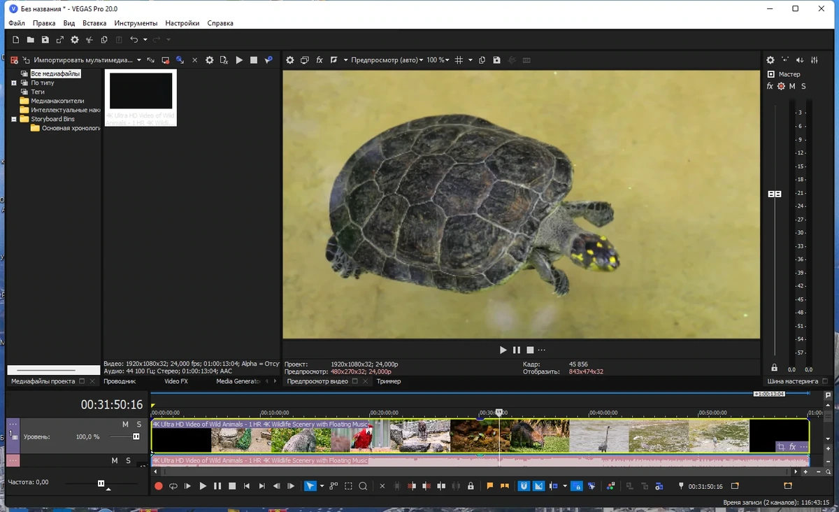 Редактирование и монтаж мультимедиа - MAGIX Vegas Pro 20.0 Build 370 RePack by elchupacabra — изображение 1