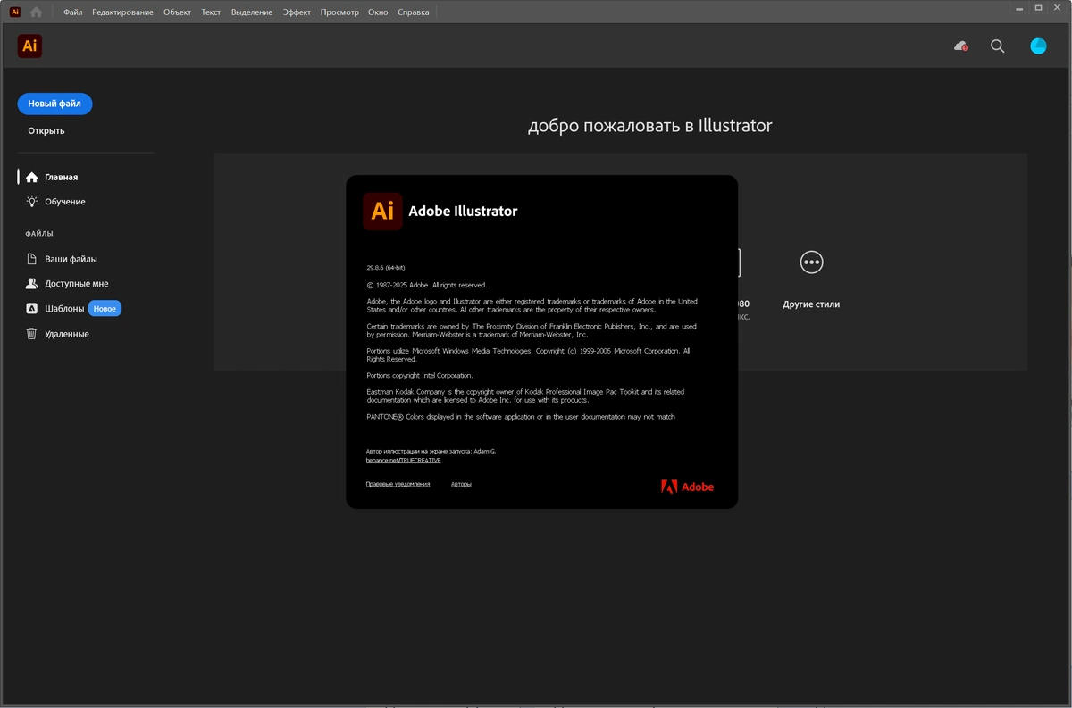 Редактор цифровой графики Adobe Illustrator 2025 29.8.6.1 — изображение 1