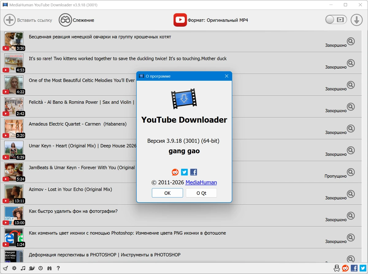 Аудио и видео загрузчик MediaHuman YouTube Downloader 3.9.18 (3001) — изображение 1