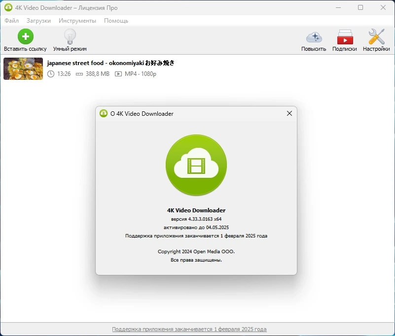 Аудио и видеозагрузчик 4K Video Downloader 4.33.3.0163 by Dodakaedr — изображение 1
