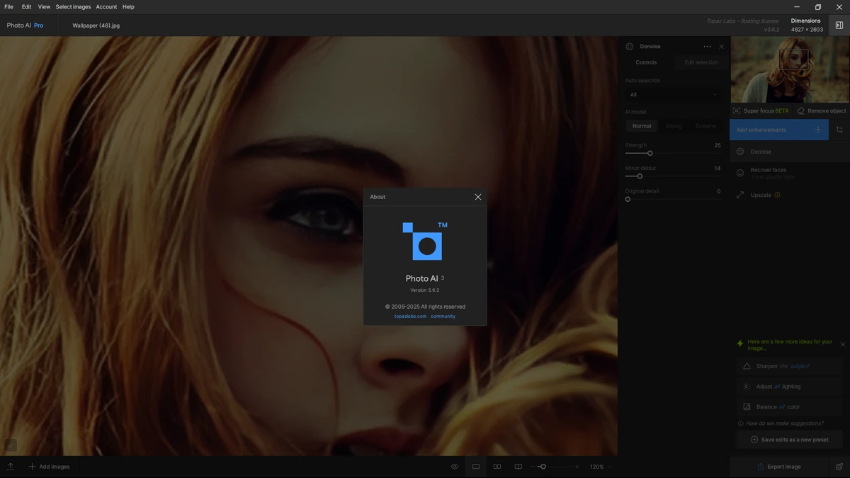 Редактор фотографий Topaz Photo AI Pro 3.6.2 — изображение 1