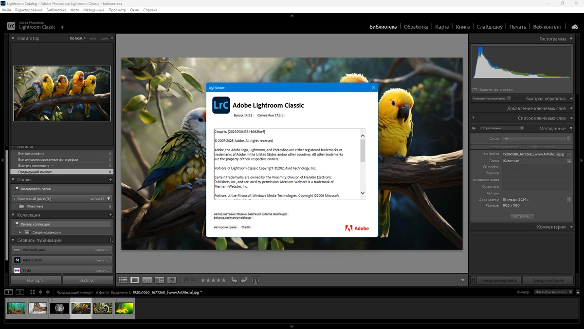 Редактор графики Adobe Photoshop Lightroom Classic 2025 14.3.1.1 RePack by KpoJIuK — изображение 1