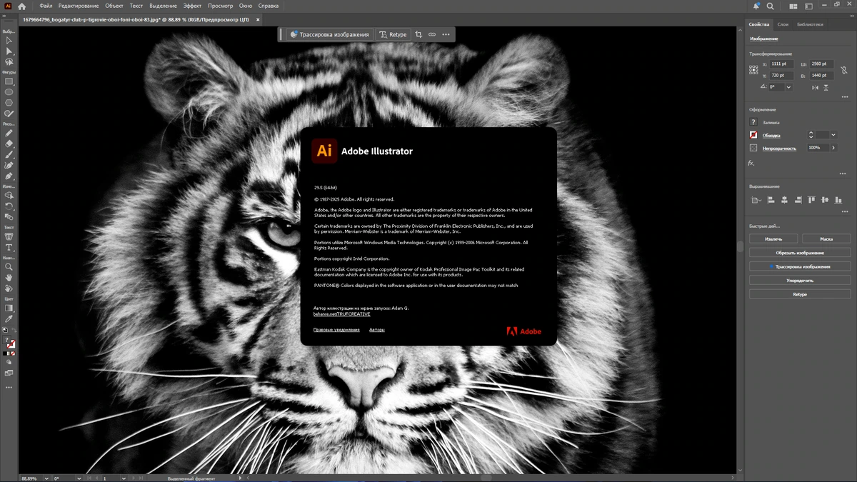 Редактор графики для дизайнеров Adobe Illustrator 2025 29.5.0.137 by KpoJIuK — изображение 1
