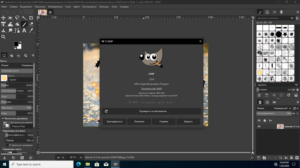 Редактор графики GIMP 3.0.8 — изображение 1