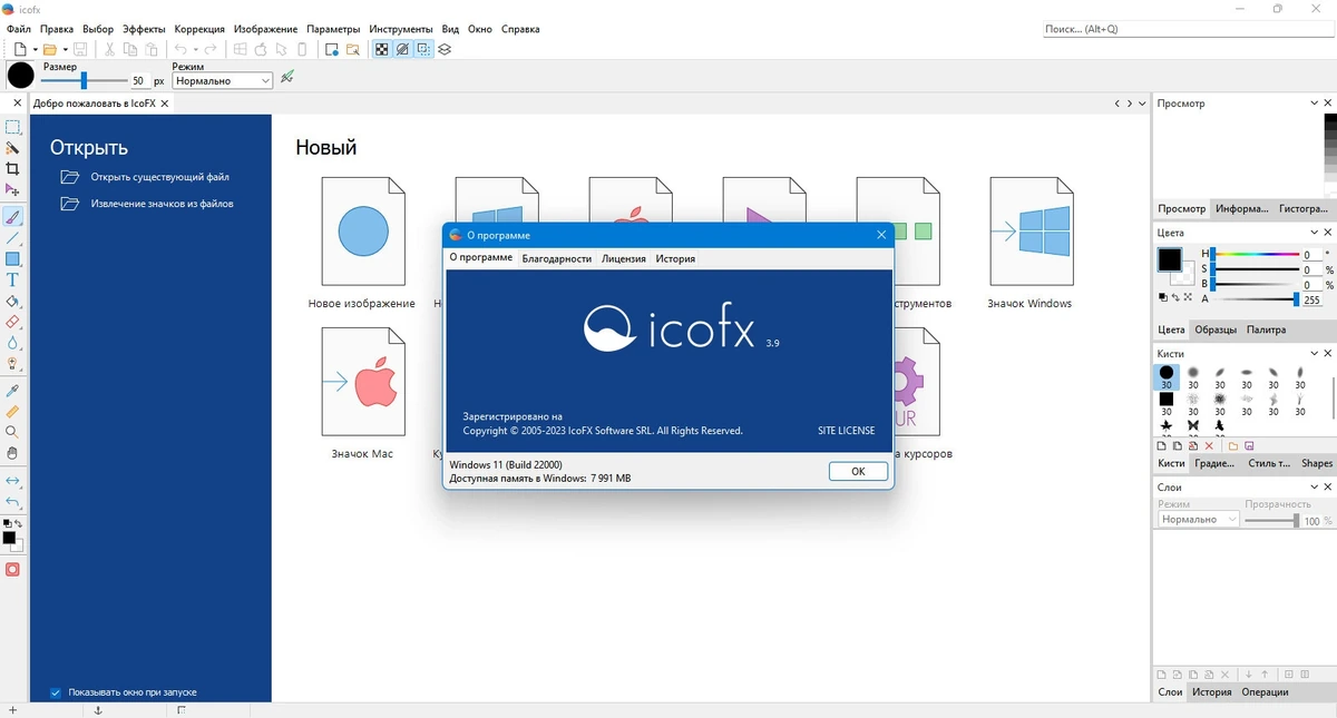 Редактор иконок и курсоров - IcoFX 3.9 Home, Business, Site — изображение 1