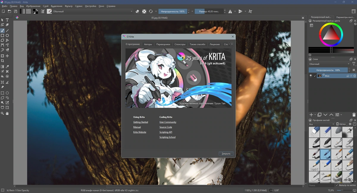Рисование на компьютере Krita 5.2.9 + Portable — изображение 1