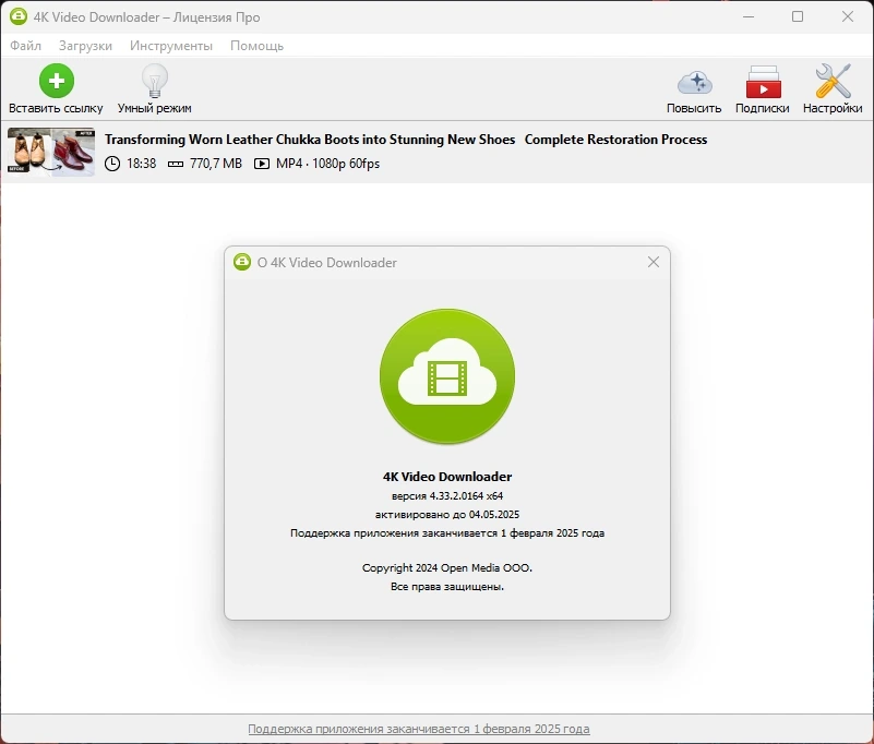 Скачивание 4K видео 4K Video Downloader 4.33.2.0164 by elchupacabra — изображение 1