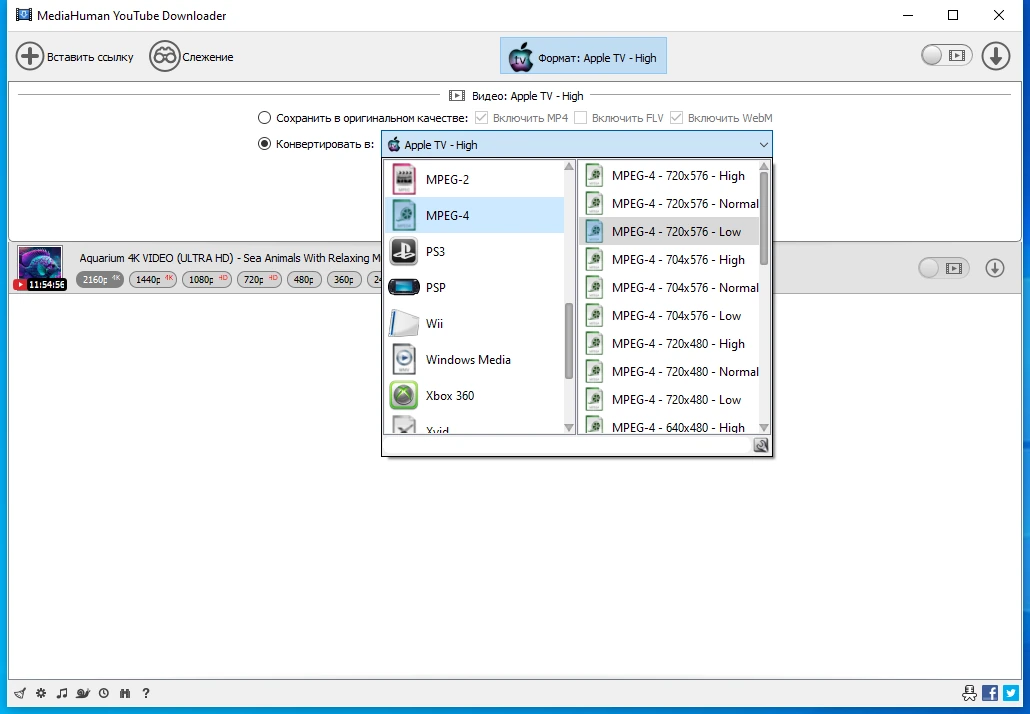 Сохранение видео на ПК MediaHuman YouTube Downloader 3.9.9.83 (2506) by Dodakaedr — изображение 1