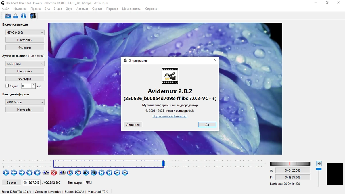 Avidemux простой редактор видео 2.8.2 Nightly (250526) — изображение 1