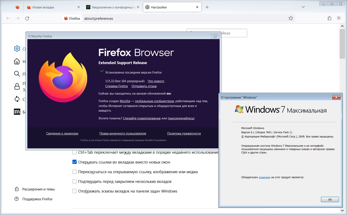 Стабильный веб браузер Firefox Browser ESR 115.32.0 — изображение 1
