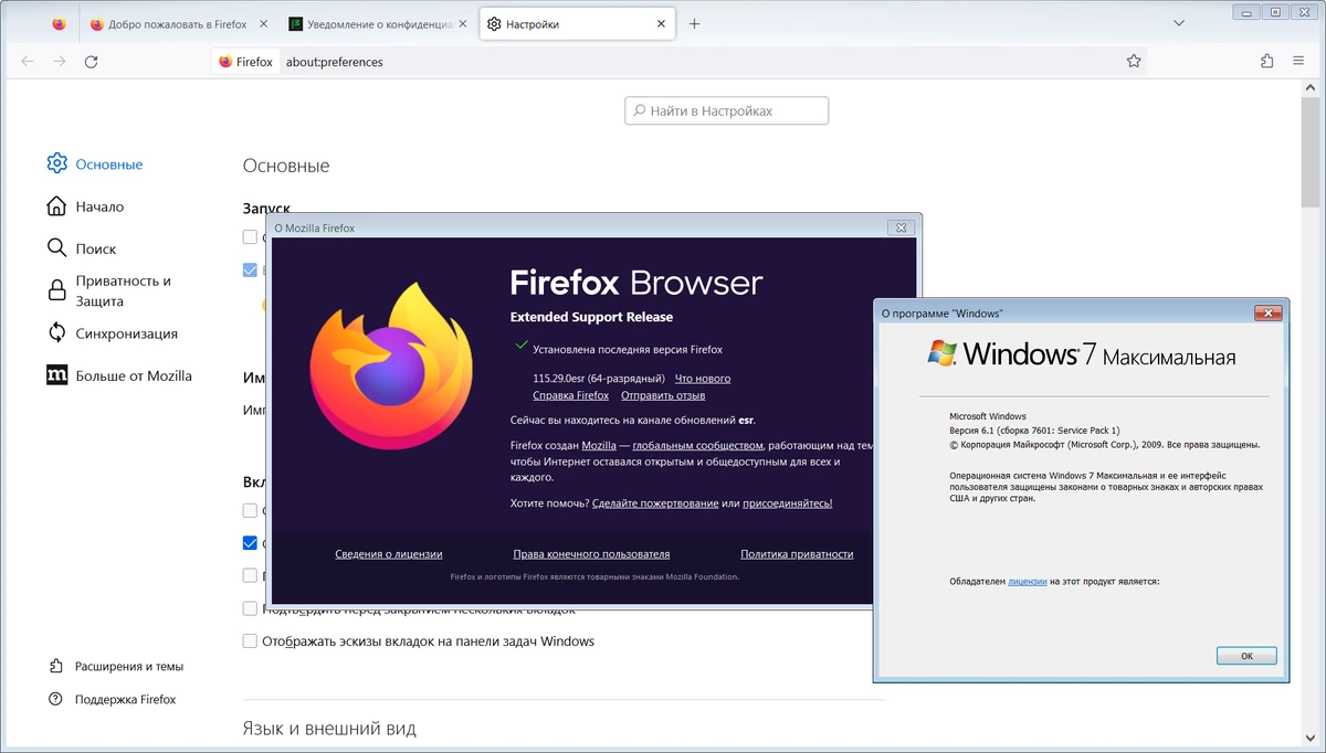 Стабильный браузер Firefox Browser ESR 115.29.0 — изображение 1