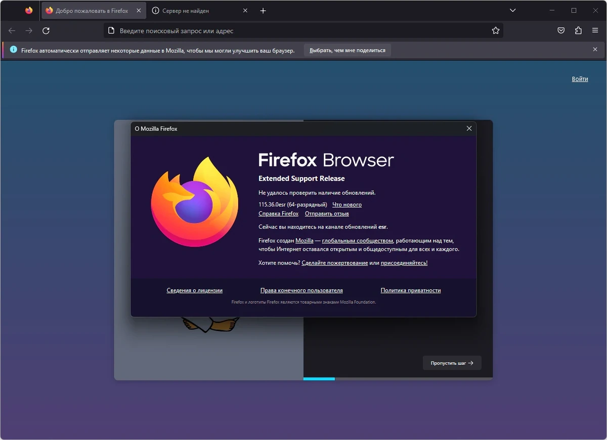 Стабильный браузер Firefox Browser ESR 115.36.0 — изображение 1