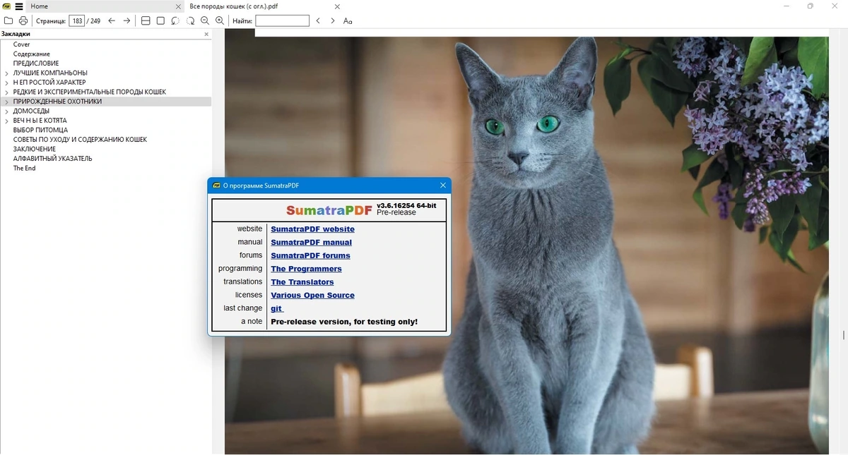 Sumatra PDF 3.6.16254 Prerelease + Portable — изображение 1