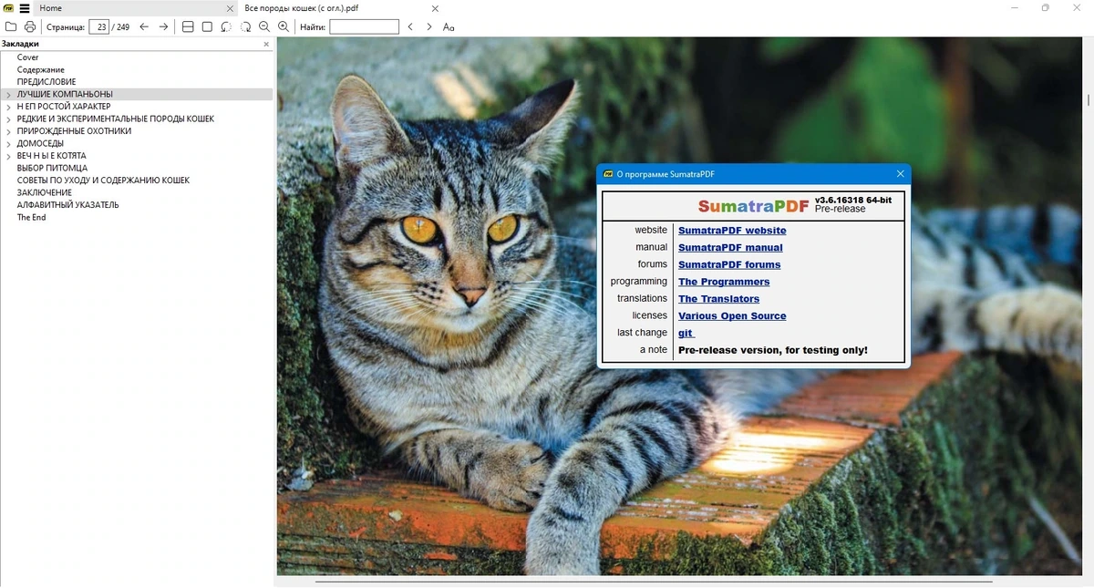 Sumatra PDF 3.6.16318 Prerelease + Portable — изображение 1
