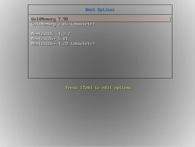 Тест оперативной памяти GoldMemory PRO 7.98 — изображение 1