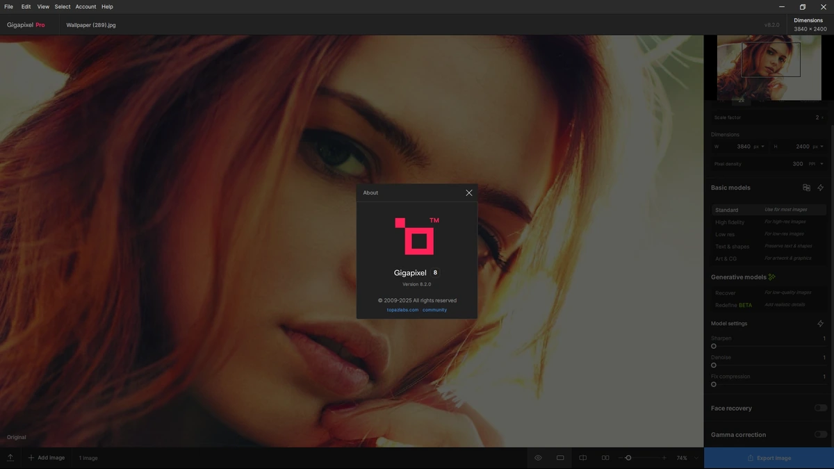 Увеличение изображений Topaz Gigapixel AI Pro 8.2.0 — изображение 1