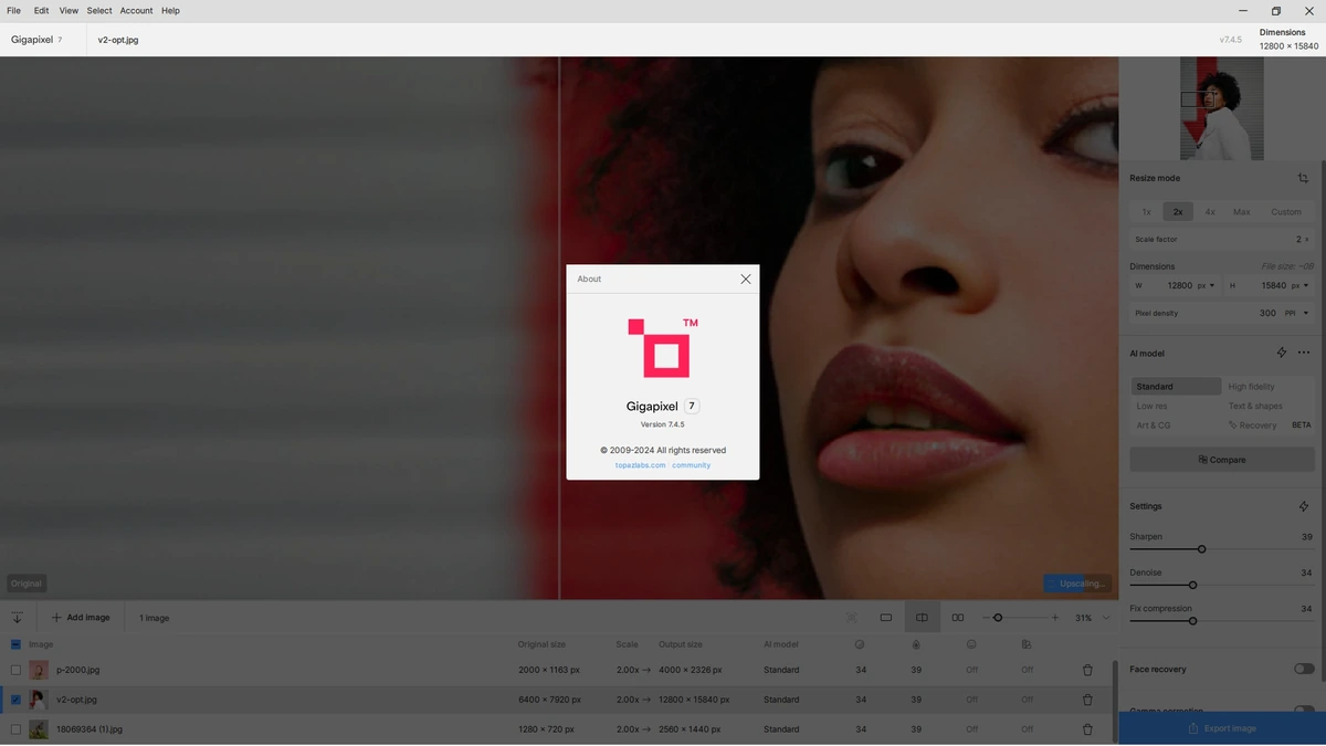 Масштабирование изображений Topaz Gigapixel AI 7.4.5 Beta (x64) Полная + Портативная версии by elchupacabra — изображение 1