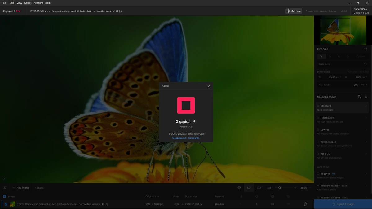 Topaz Gigapixel AI Pro 8.4.0 by KpoJIuK — изображение 1