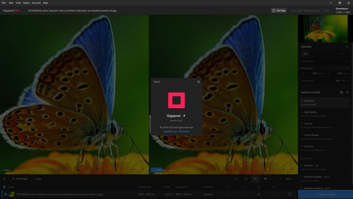 Topaz Gigapixel AI Pro 8.4.2 by KpoJIuK — изображение 1