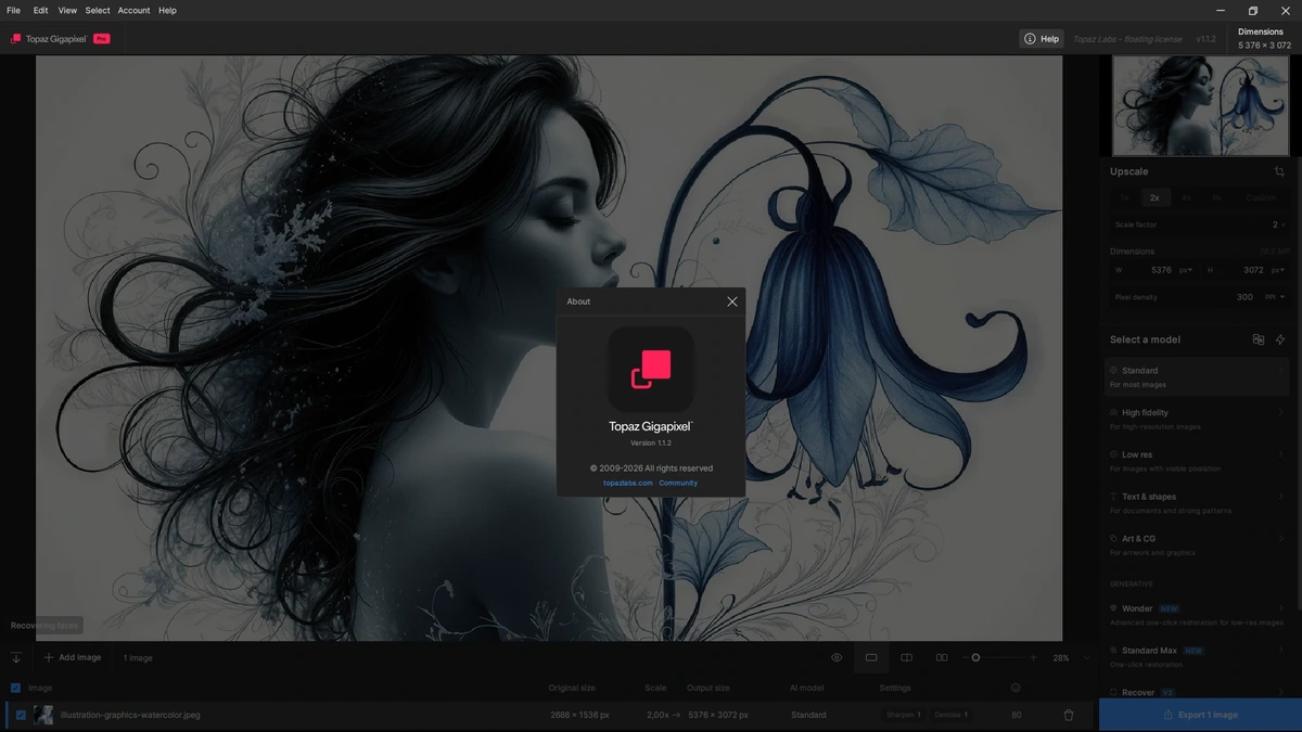 Topaz Gigapixel 1.1.2 by KpoJIuK — изображение 1