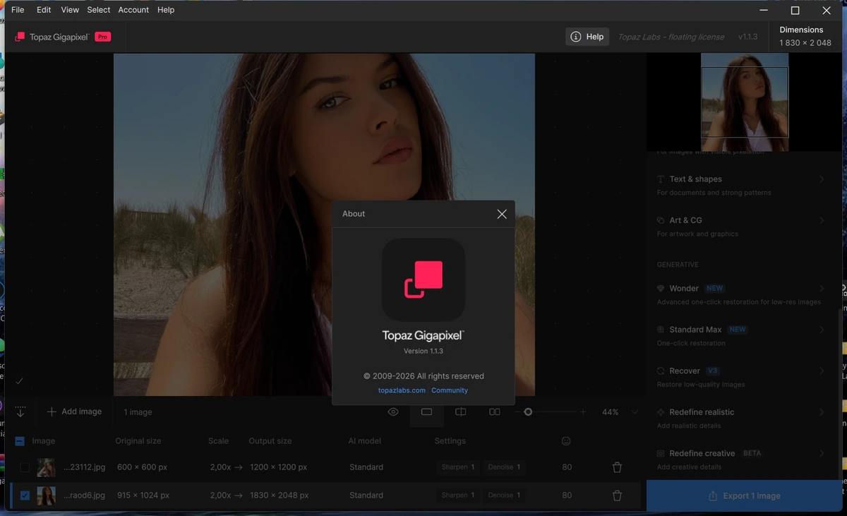 Topaz Gigapixel 1.1.3 by KpoJIuK — изображение 1