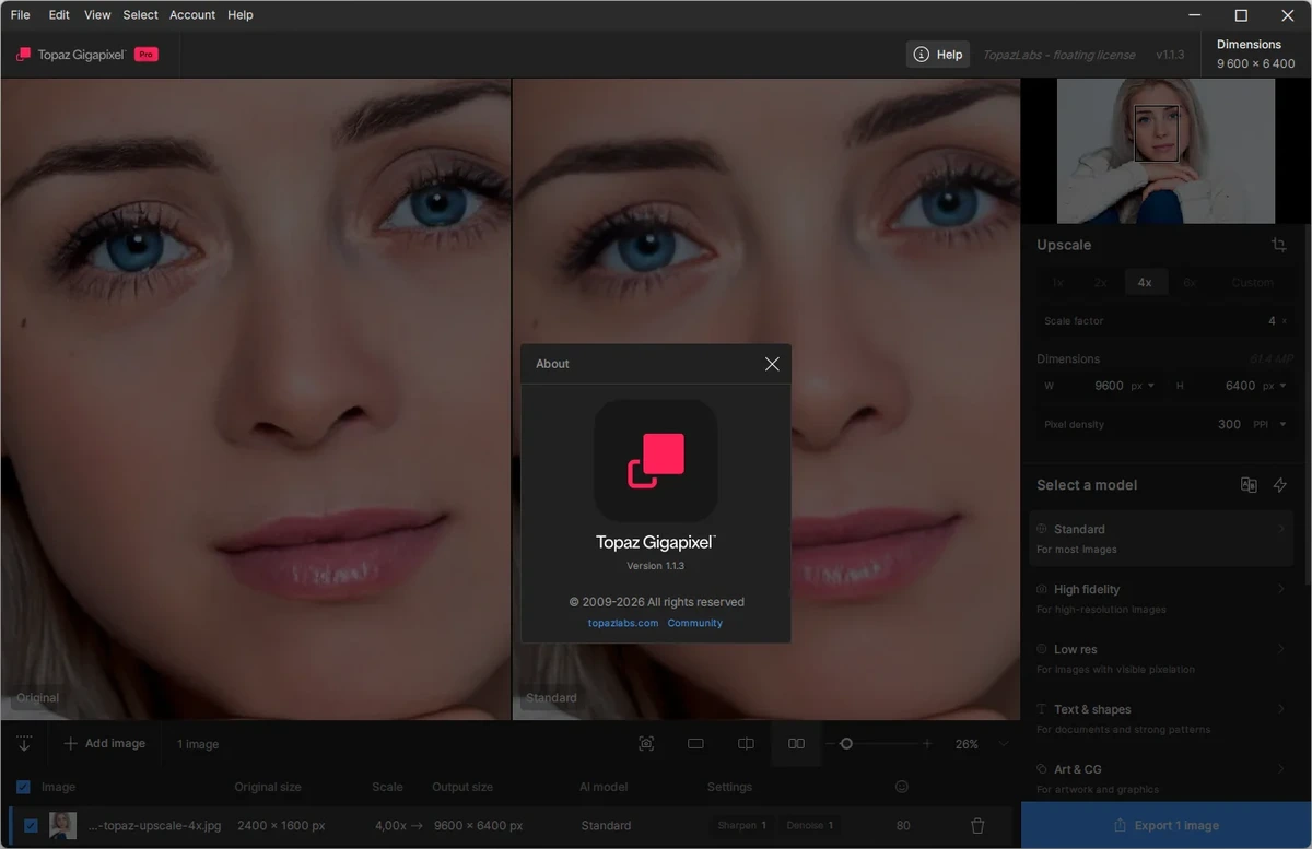 Topaz Gigapixel 1.1.3 by elchupacabra — изображение 1