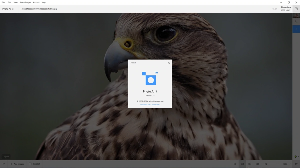 Умный фоторедактор Topaz Photo AI 3.2.1 (x64) — изображение 1