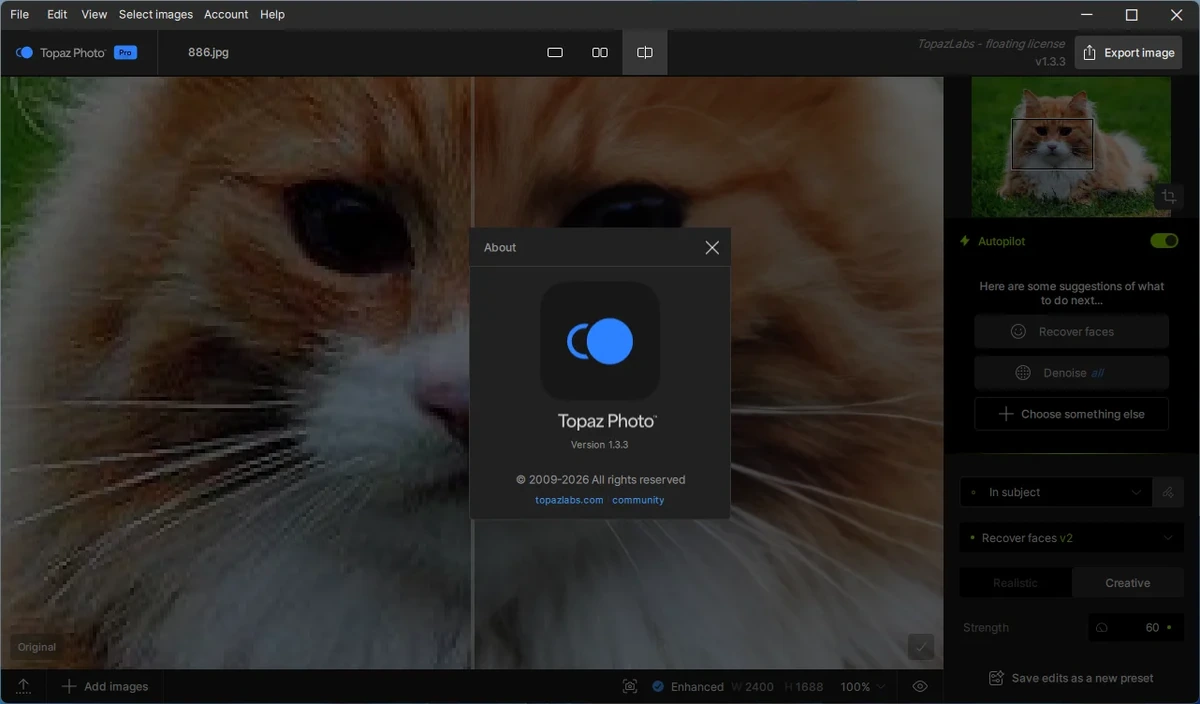Topaz Photo 1.3.3 by elchupacabra — изображение 1