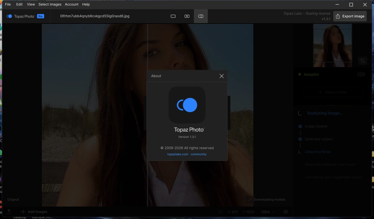 Topaz Photo 1.3.1 by KpoJIuK — изображение 1