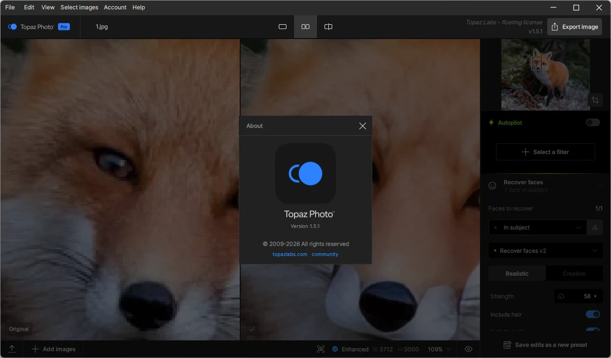 Topaz Photo 1.5.1 by KpoJIuK — изображение 1