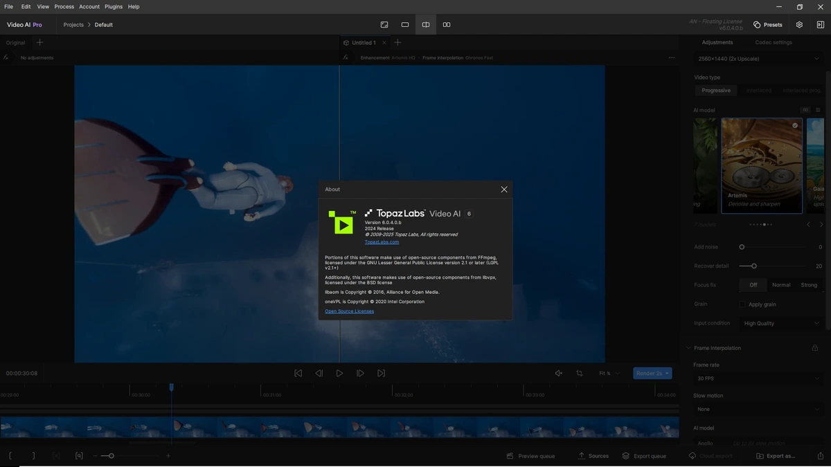 Topaz Video AI чистое увеличение видео Pro 6.0.4 Beta — изображение 1