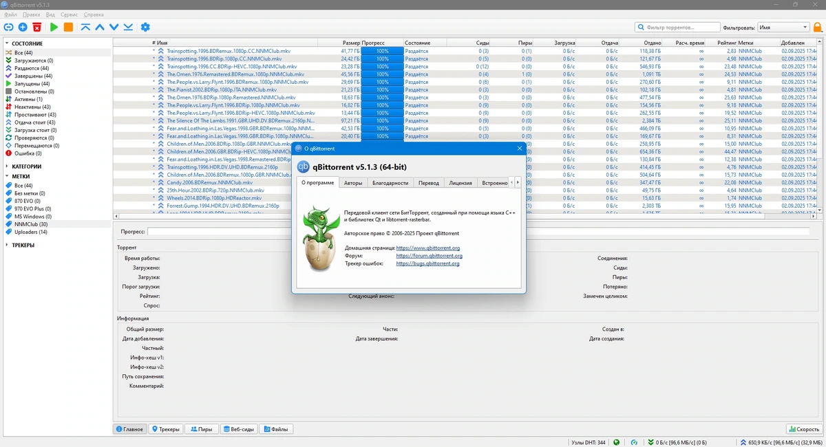 Торрент клиент qBittorrent 5.1.3 — изображение 1