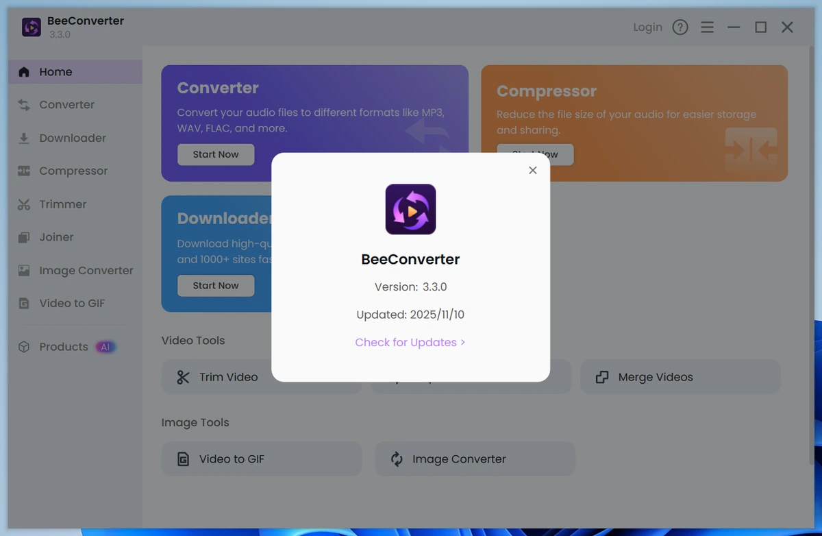 BeeConverter Pro 2025 3.3.0 — изображение 1