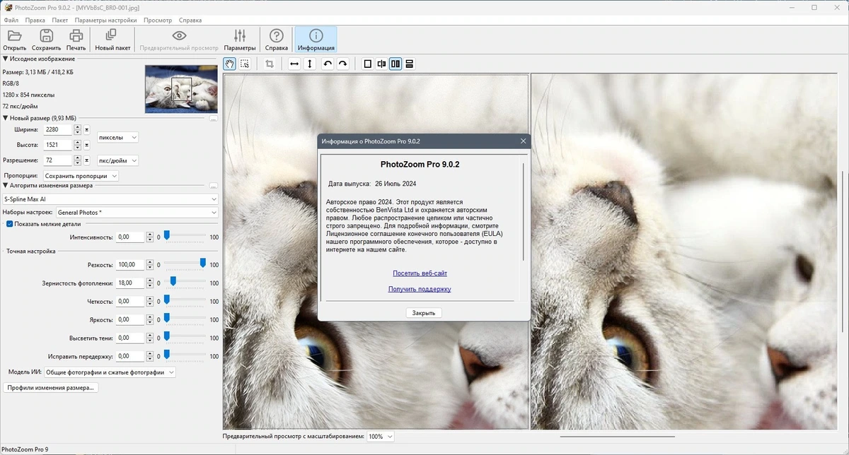 Benvista PhotoZoom Pro 9.0.2 Полная + Портативная версии by Dodakaedr — изображение 1