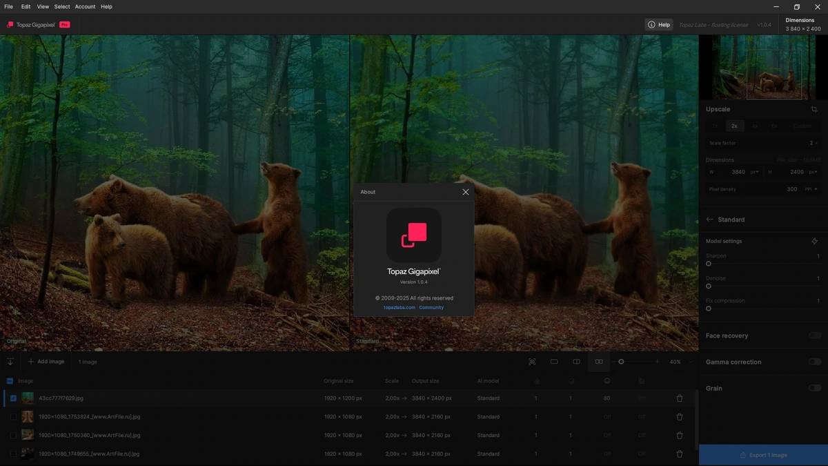 Увеличение фотоснимков Topaz Gigapixel 1.0.4 + models by 7997 — изображение 1
