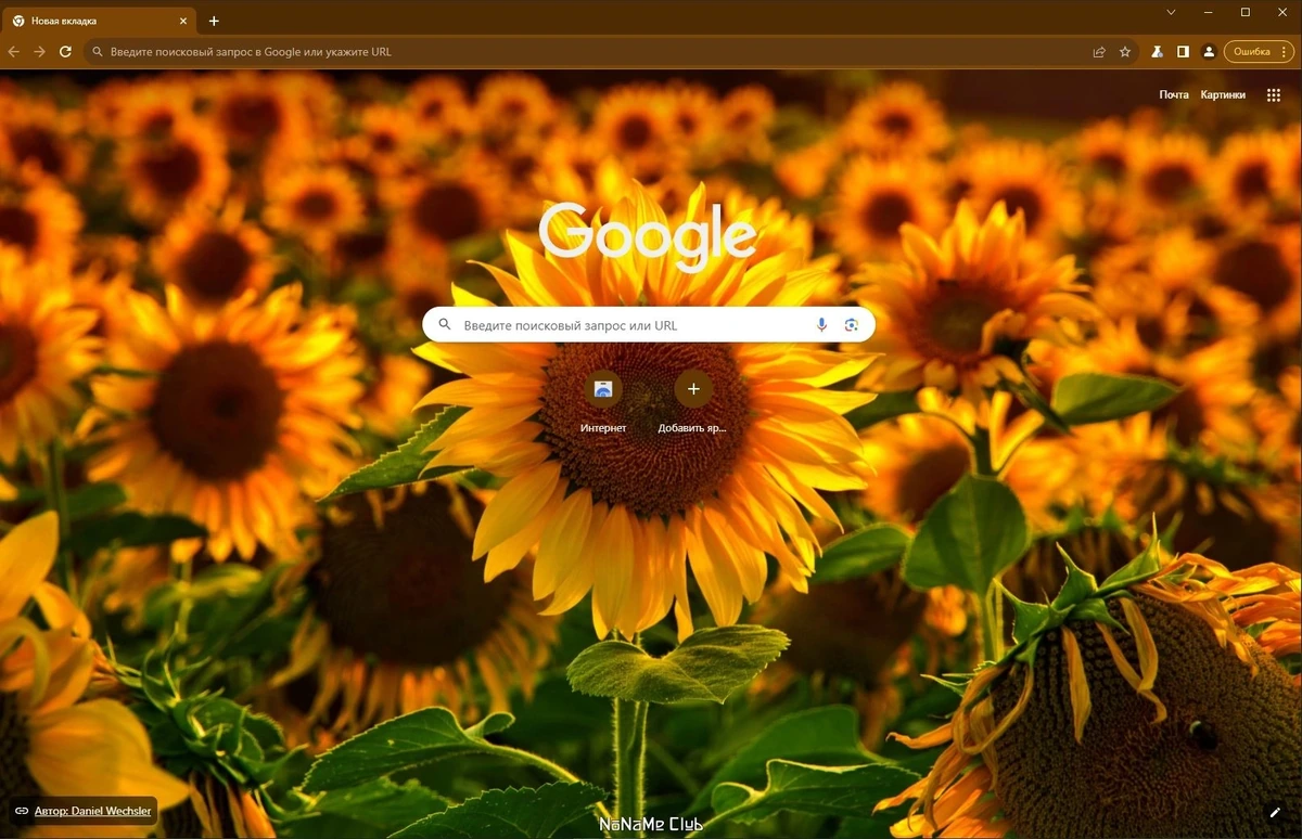 Chromium 121.0.6167.185 + Portable — изображение 1