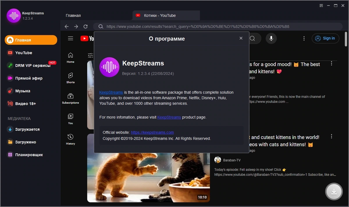 Видеозагрузчик KeepStreams 1.2.3.4 Полная + Портативная версии by elchupacabra — изображение 1