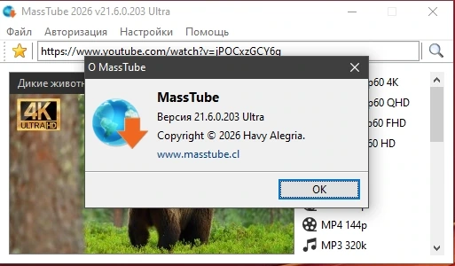 Видеозагрузчик MassTube Ultra 21.6.0.203 by Dodakaedr — изображение 1